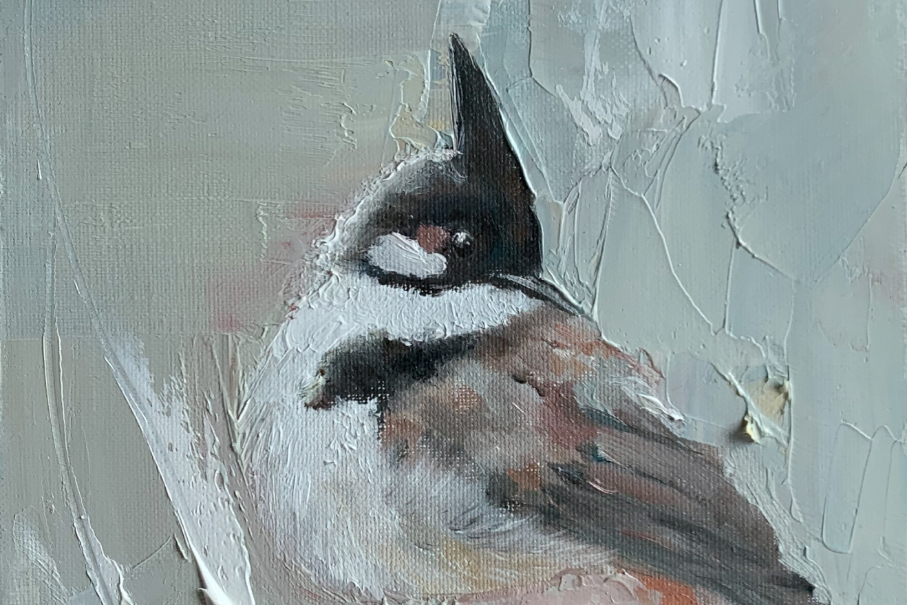 bird painting-Red-whiskered bulbul-cover