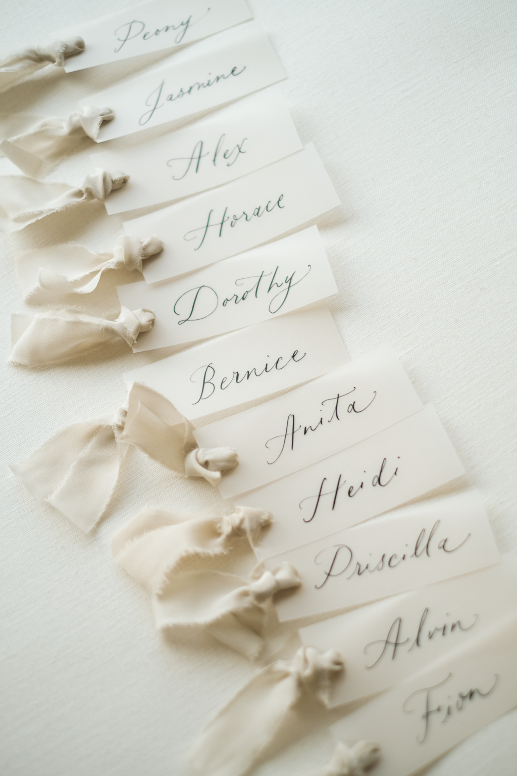 Vellum Place Cards with Nude Grey Ribbons