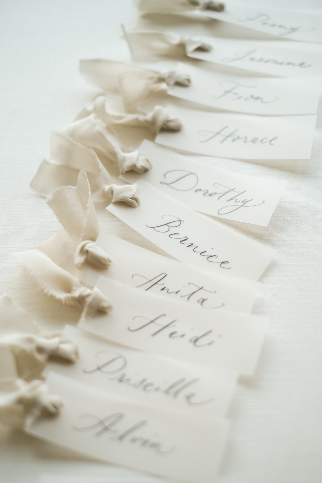 Vellum Place Cards with Nude Grey Ribbons